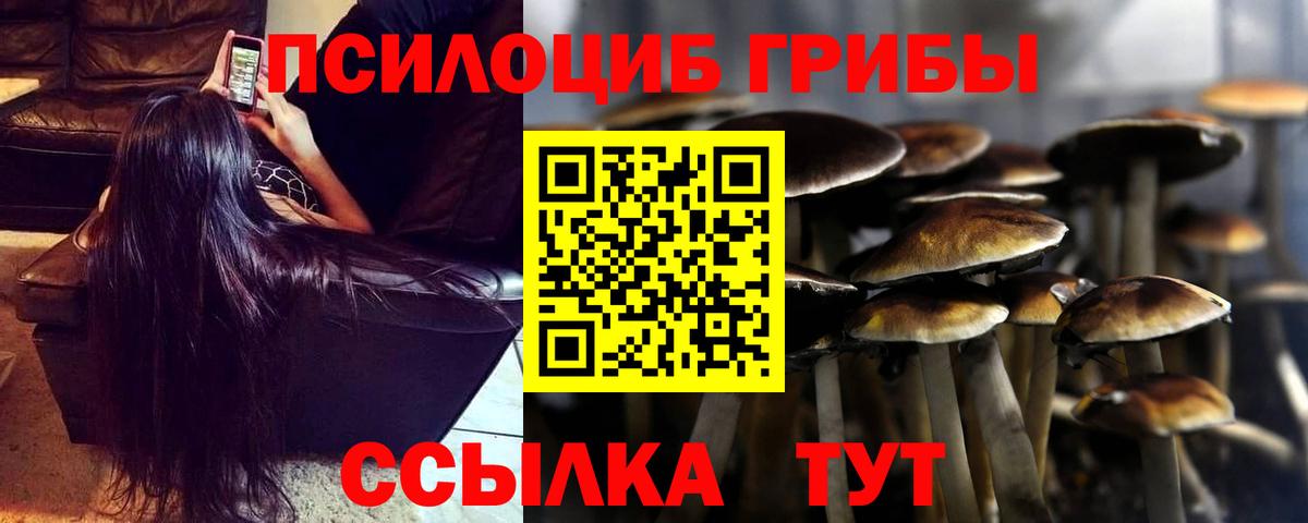 Псилоцибиновые грибы Psilocybe  Вход с VPN  купить наркотик  Сергиев Посад 